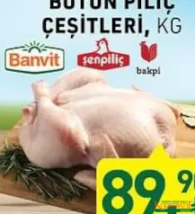 BÜTÜN PİLİÇ ÇEŞİTLERİ KG